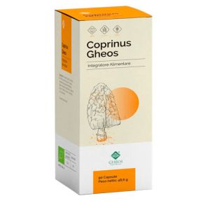 Coprinus de Gheos