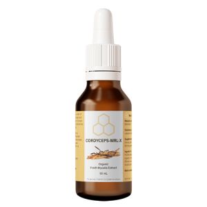 Cordyceps-MRL-X (líquido) de Atena