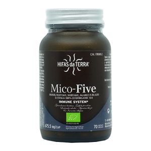 Mico-Five con Chaga de Hifas da Terra