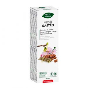 Mix Gastro 15 Intersa
