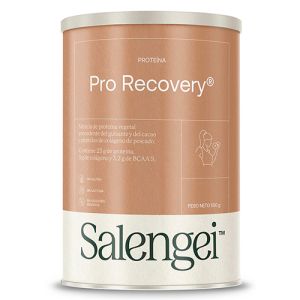 Pro Recovery de Salengei