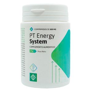 PT Energy System de Gheos