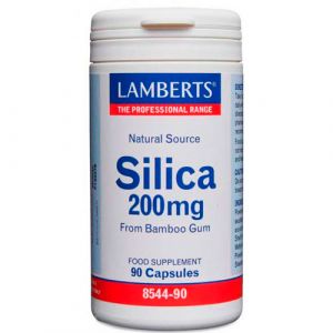 Silicio 200 mg de Lamberts