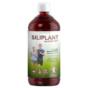Silicium G5 Siliplant de SILICIUM