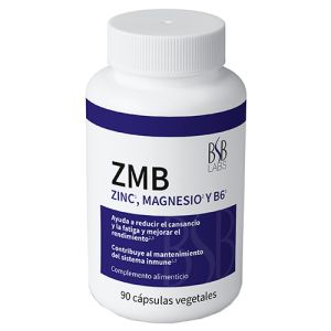 ZMB de BSB Labs