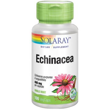 Echinacea (Equinácea) de Solaray