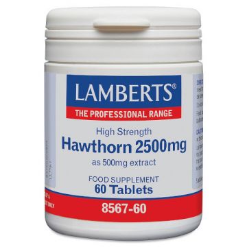 Espino Blanco 2500 mg Lamberts