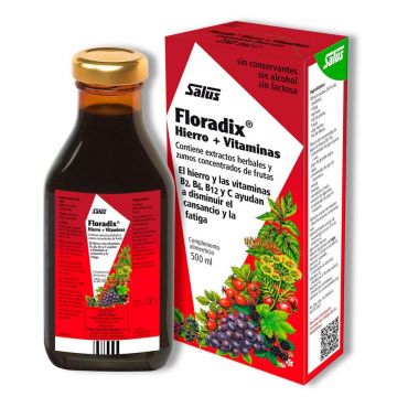 Floradix jarabe - 500 ml.