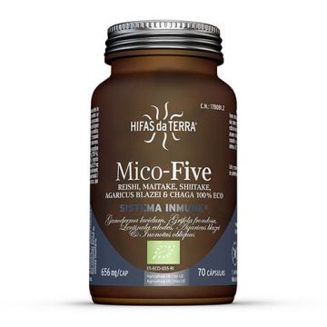 Mico-Five con Chaga de Hifas da Terra