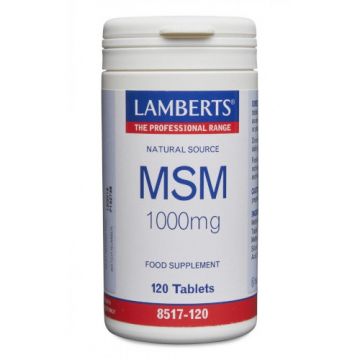 MSM 1000 mg de Lamberts