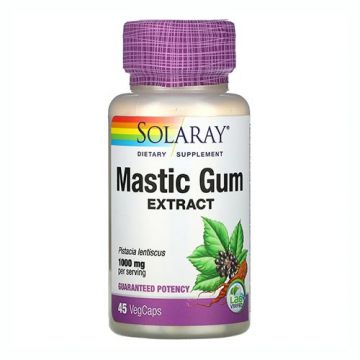 Mastic Gum de Solaray