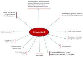 Beneficios del Resveratrol